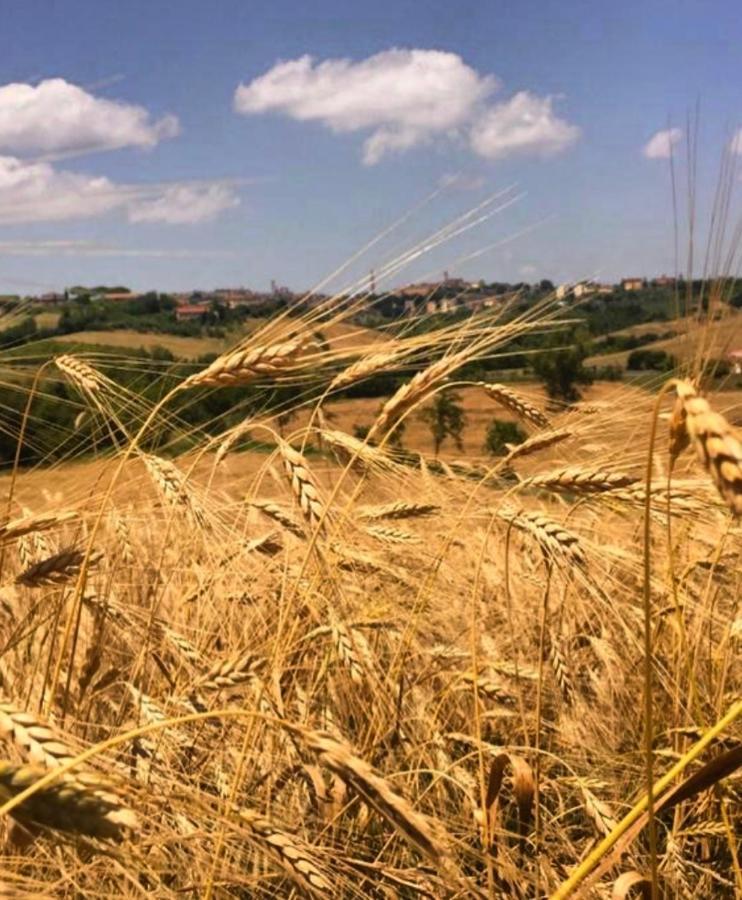 Agriturismo La Corte Del Sole Siena Zewnętrze zdjęcie