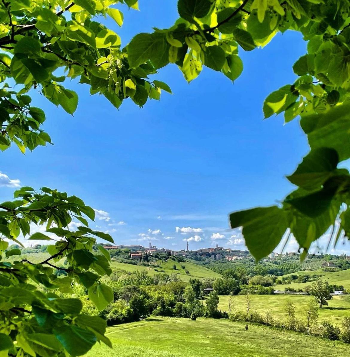 Agriturismo La Corte Del Sole Siena Zewnętrze zdjęcie