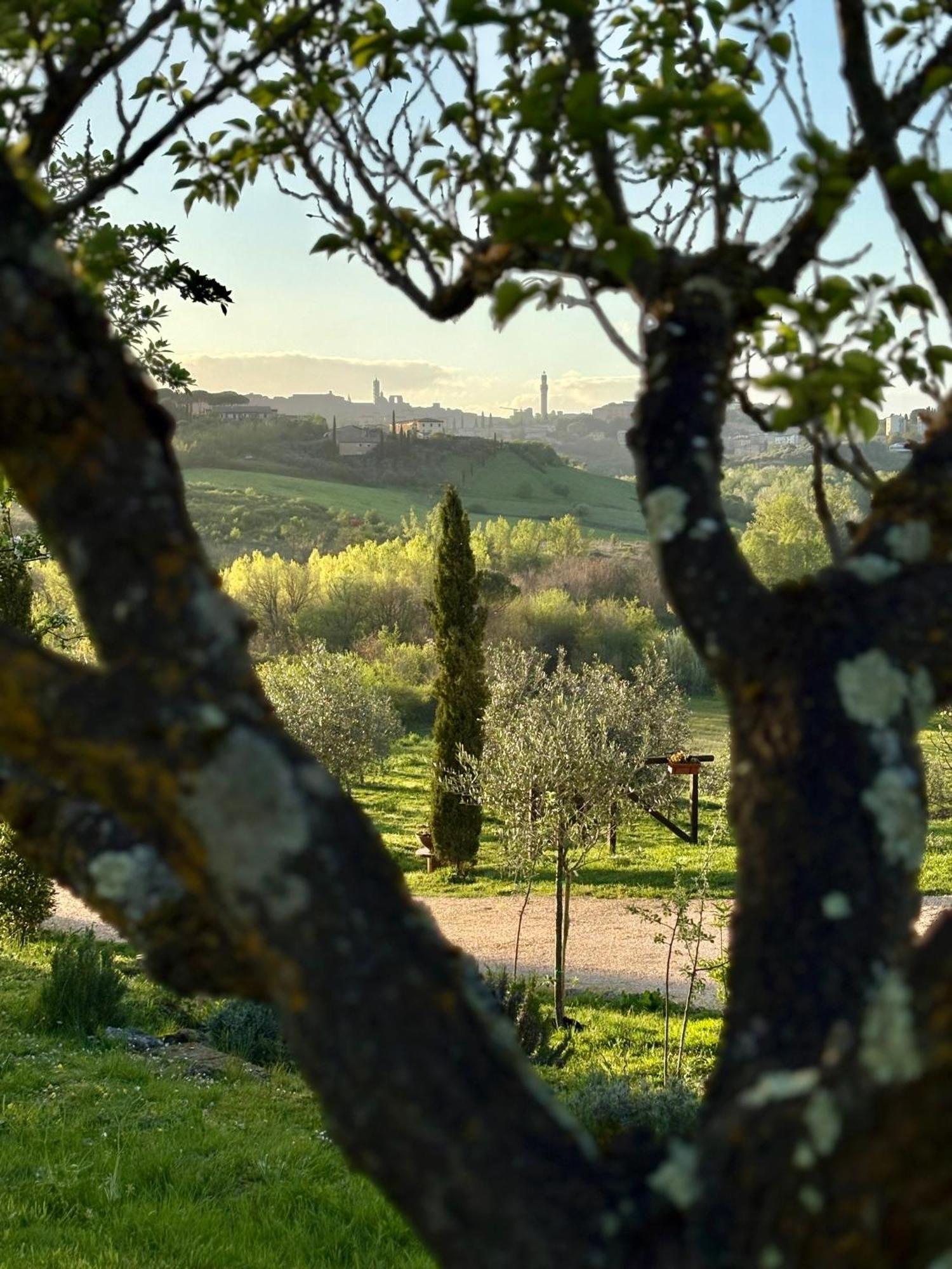 Agriturismo La Corte Del Sole Siena Zewnętrze zdjęcie